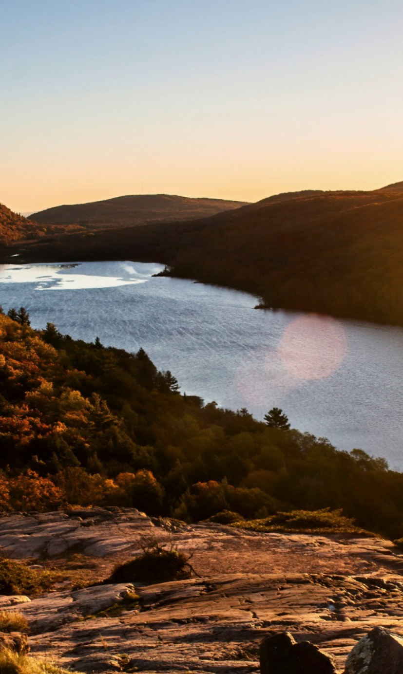 psychologists in michigan