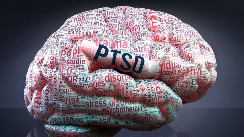 Post-Traumatic Stress Disorder - Ptsd in human brain, hundreds of crucial terms related to Ptsd projected onto a cortex to show broad extent of this condition and to explore important concepts linked to Ptsd, 3d illustration